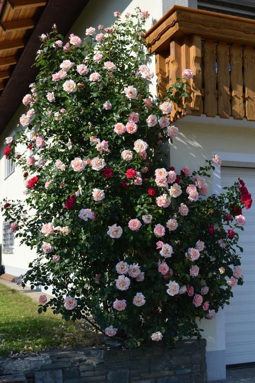 Appartements Kuchler Velden am Wörthersee Dış mekan fotoğraf